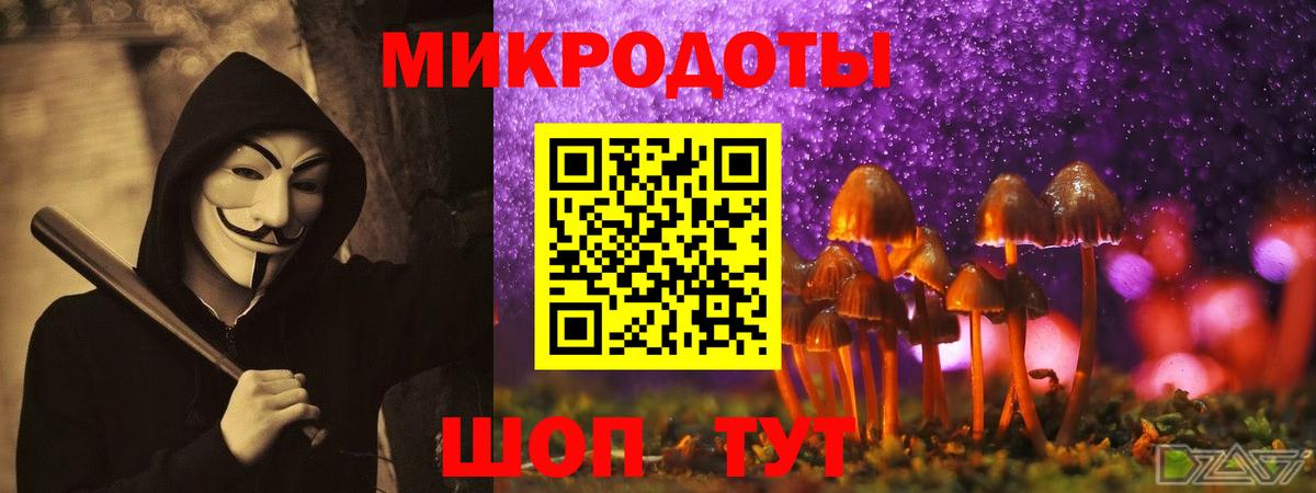 Псилоцибиновые грибы мицелий Гай
